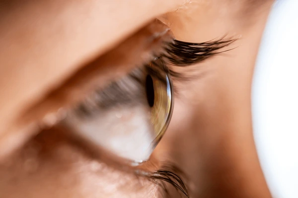 Cornea Services